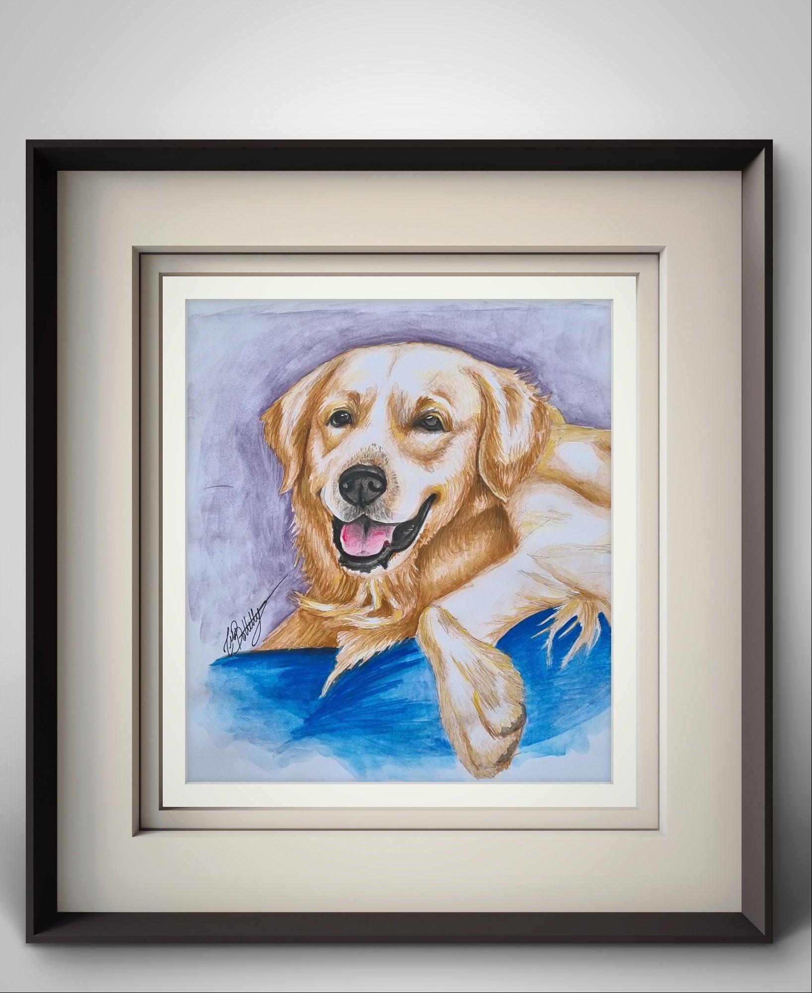 Pet Portraits
