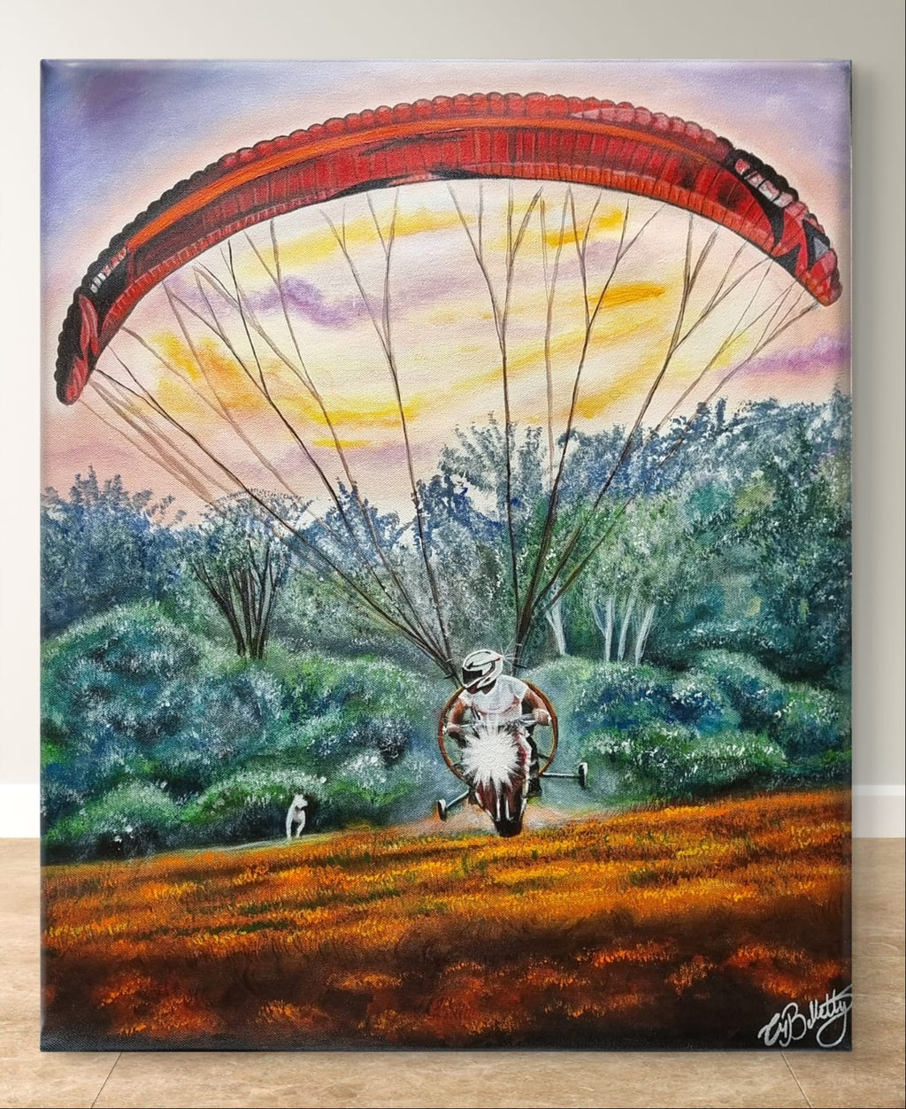 Chasing the Sky