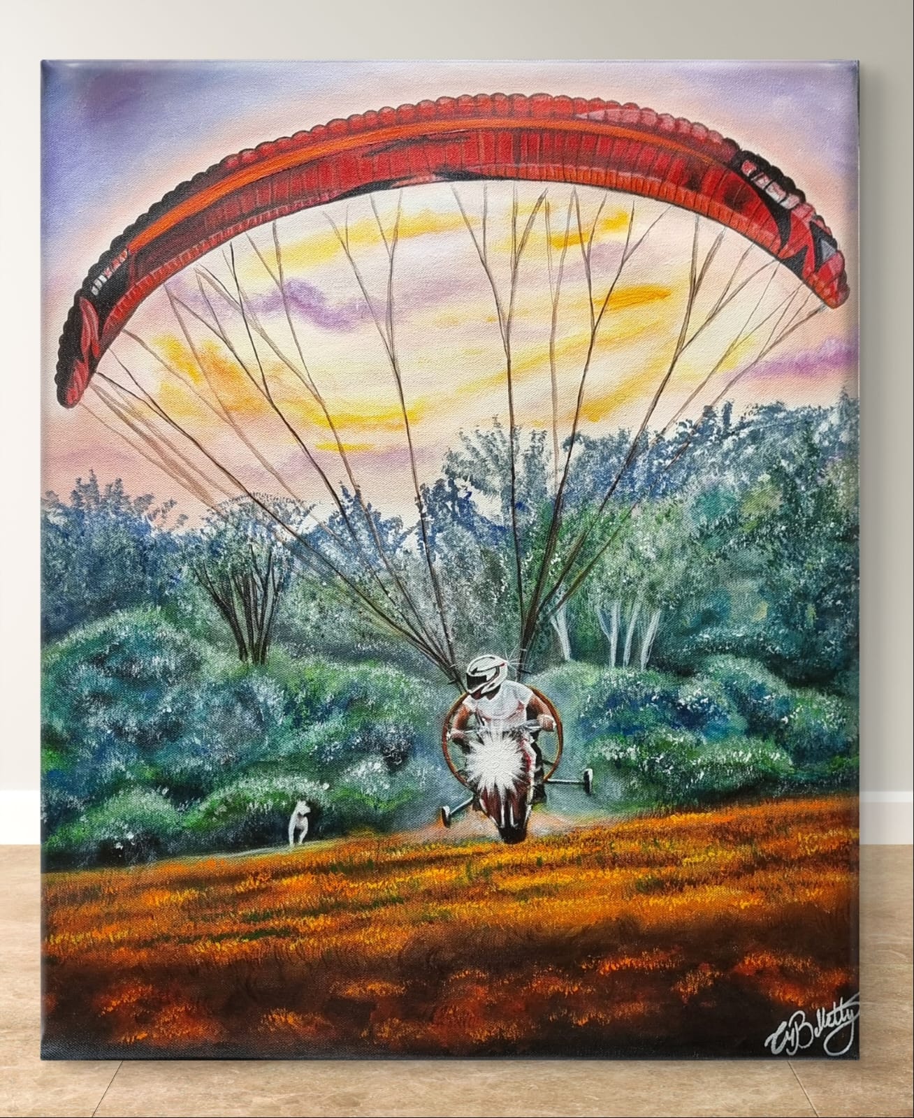 Chasing the Sky