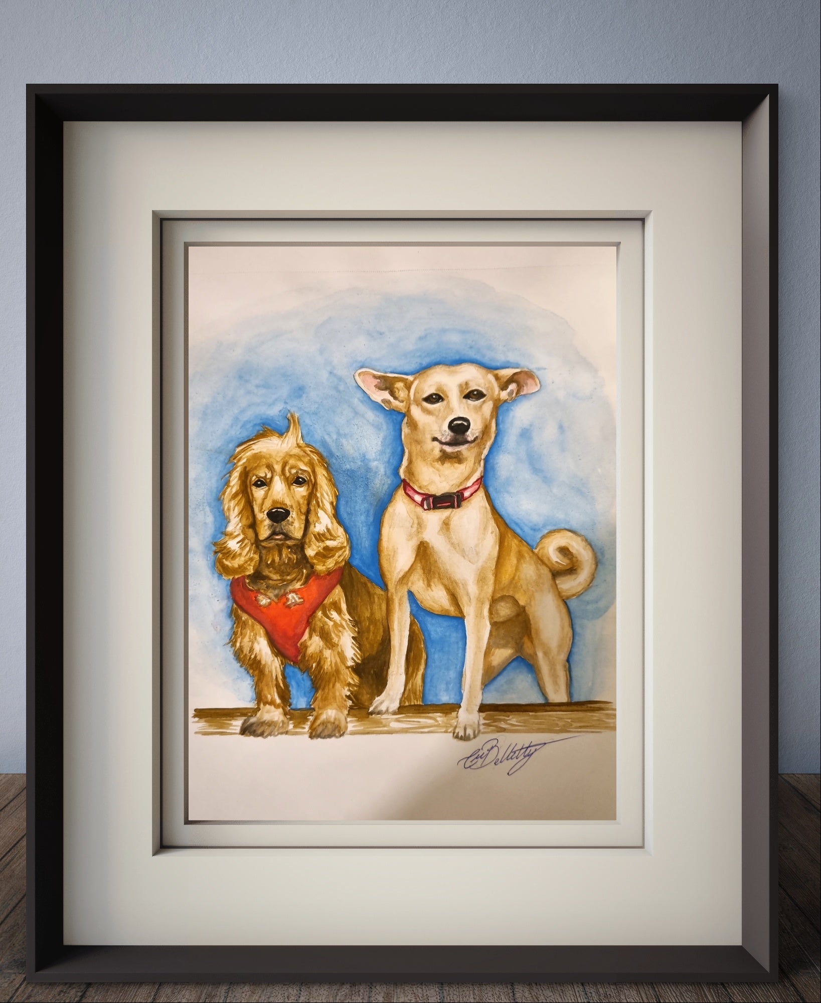 Pet Portraits